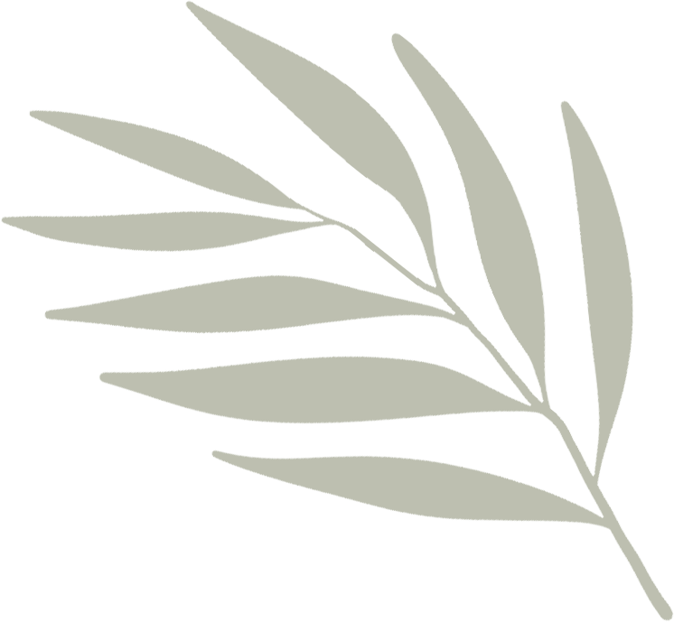 Olive-branch1-3-100p-50o