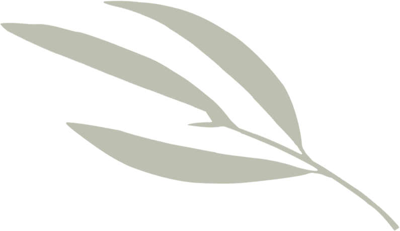 Olive-branch1-little-100p-50o