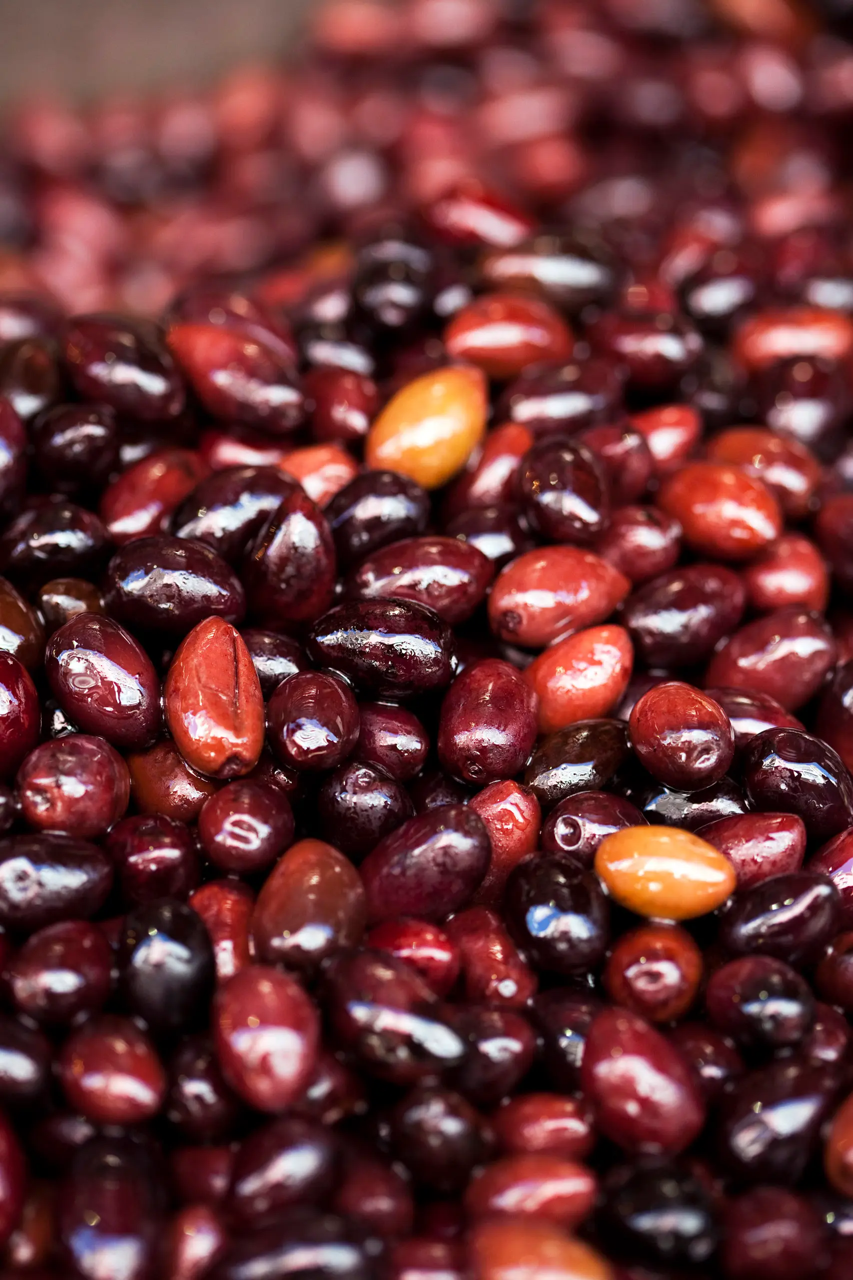 kalamata-olives-2027 Kalamata Olives